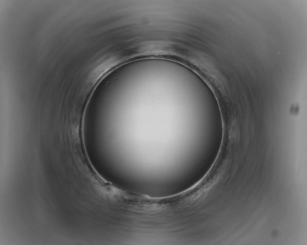 X0000096991273200802151344