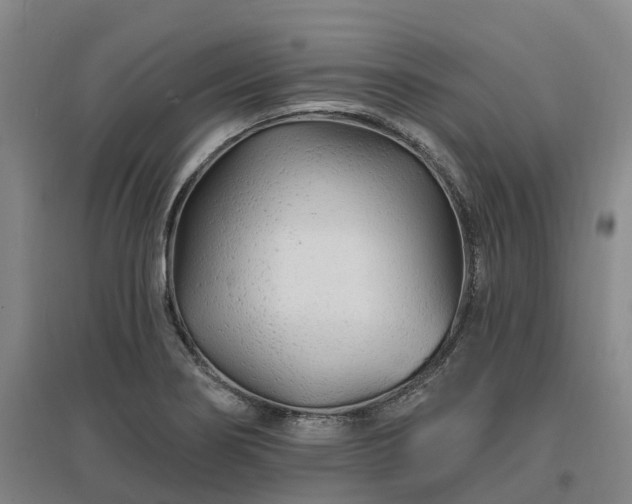 X0000096991274200802151344