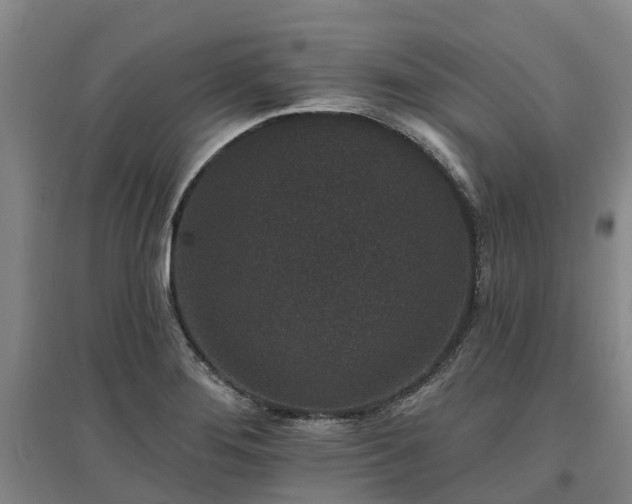 X0000096991276200802151344