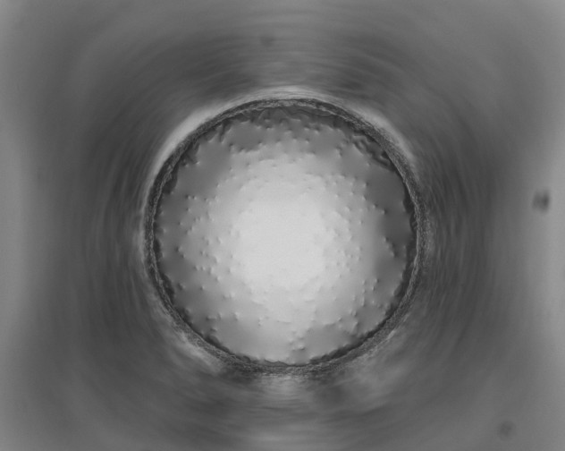 X0000096991278200802151344