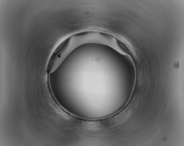 X0000096991280200802151344