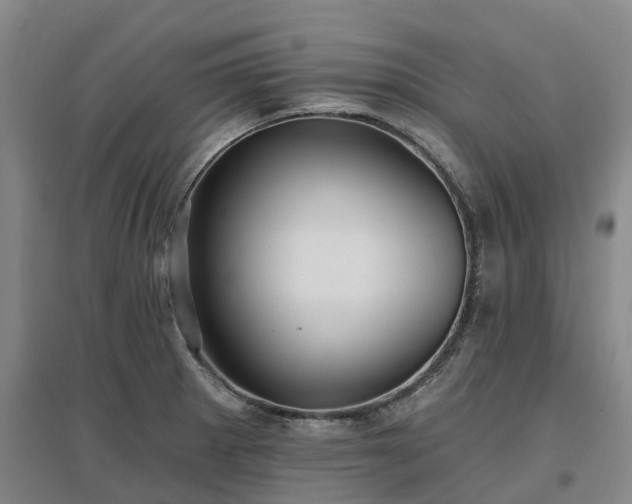 X0000096991281200802151344