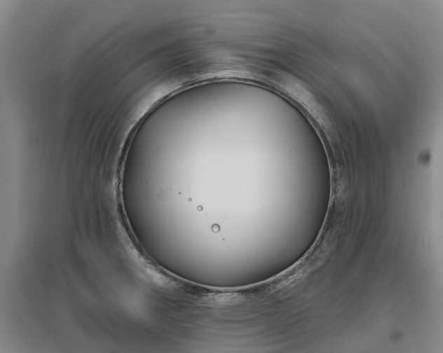 X0000096991282200802151344