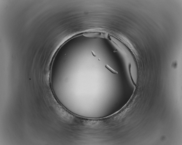 X0000096991284200802151344