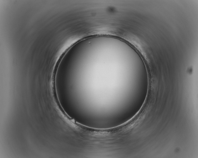 X0000096991285200802151344