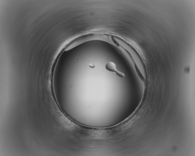 X0000096991288200802151344