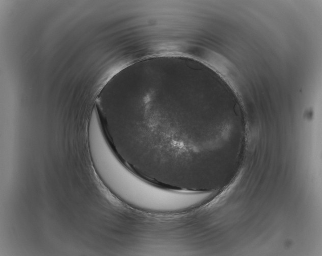 X0000096991289200802151344