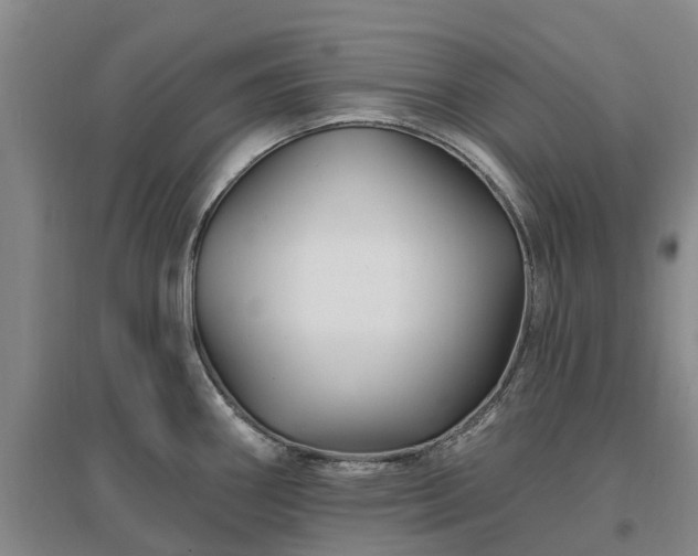 X0000096991290200802151344