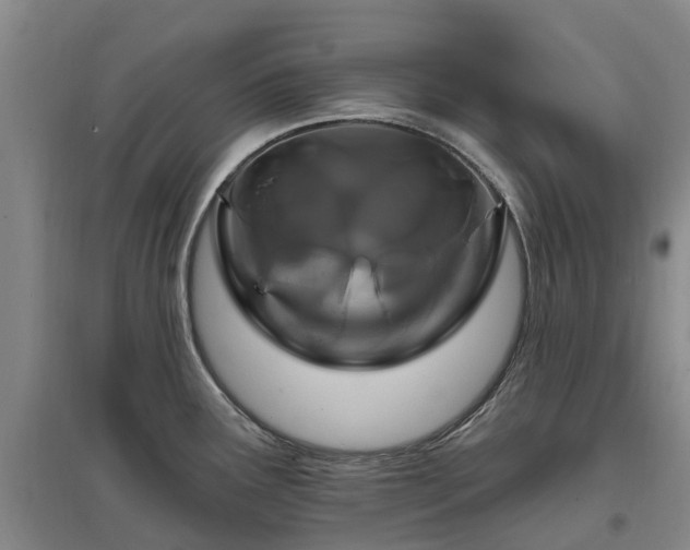 X0000096991291200802151344