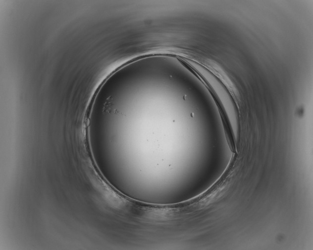 X0000096991292200802151344