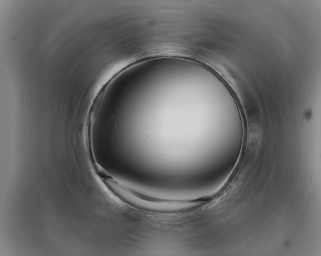 X0000096991293200802151344