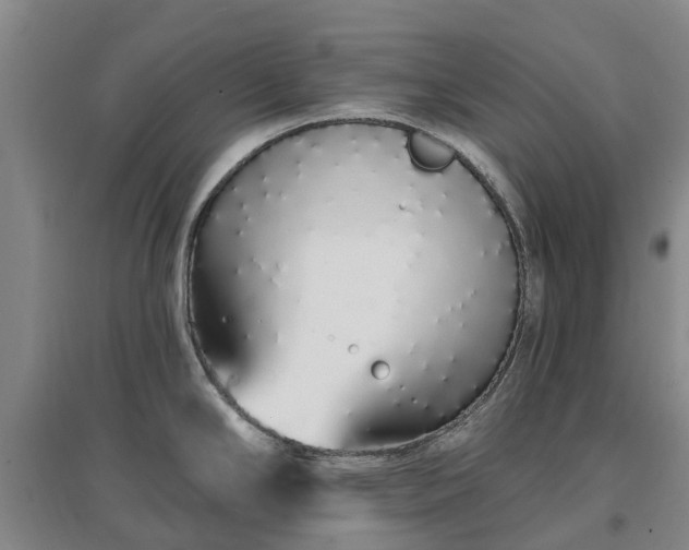 X0000096991294200802151344