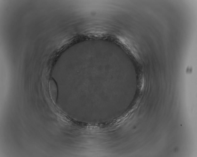 X0000096991297200802151343