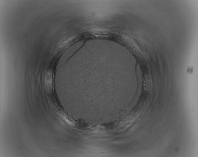 X0000096991298200802151343