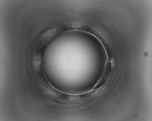 X0000096991299200802151343