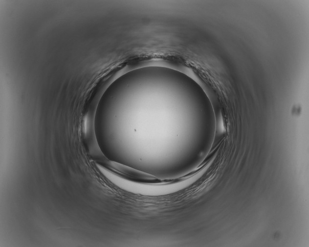 X0000096991300200802151343