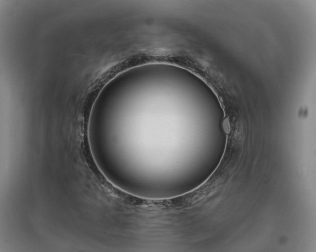 X0000096991301200802151343