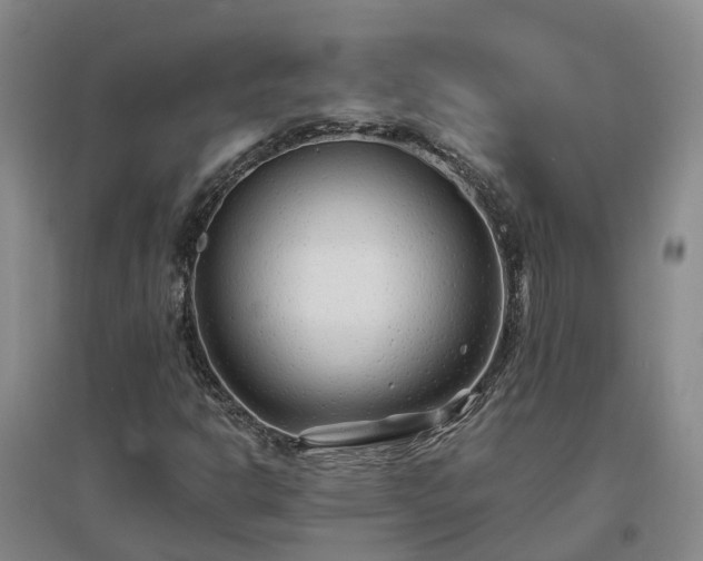 X0000096991302200802151343