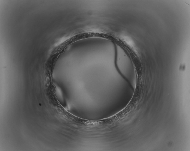 X0000096991303200802151343