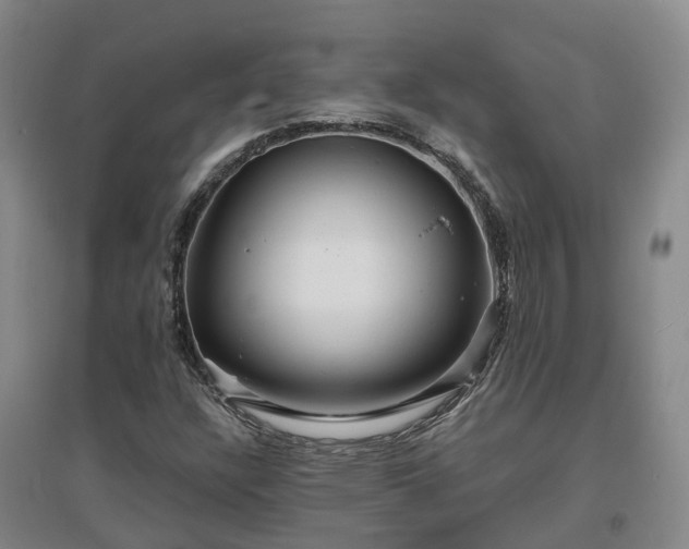 X0000096991304200802151343