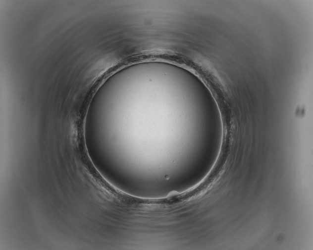 X0000096991305200802151343