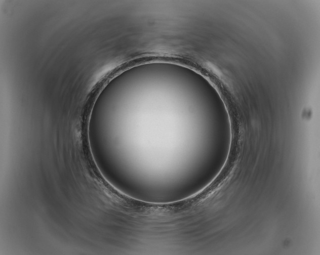 X0000096991307200802151343