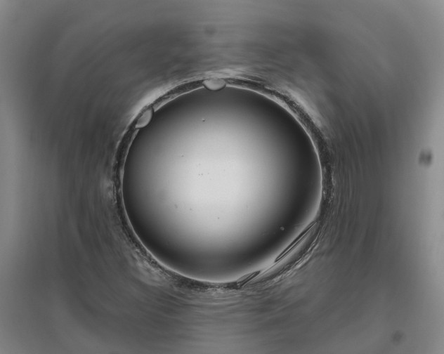 X0000096991308200802151343