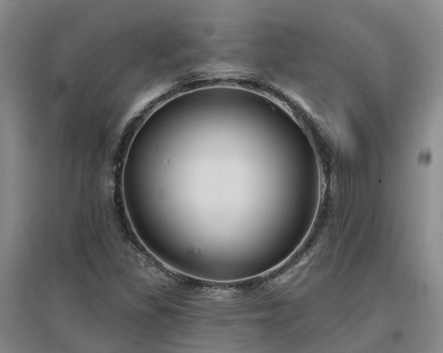 X0000096991309200802151343