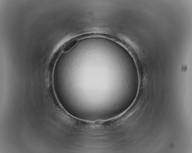 X0000096991310200802151343