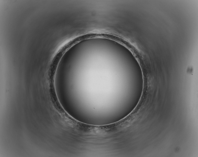 X0000096991311200802151343
