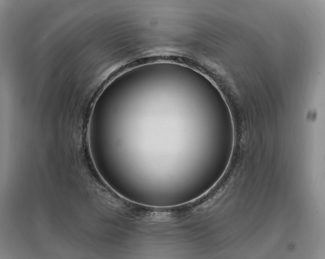 X0000096991313200802151343