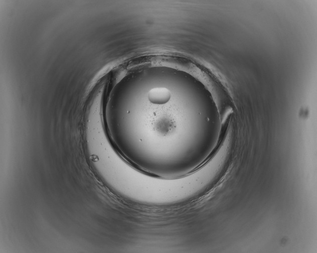 X0000096991314200802151344