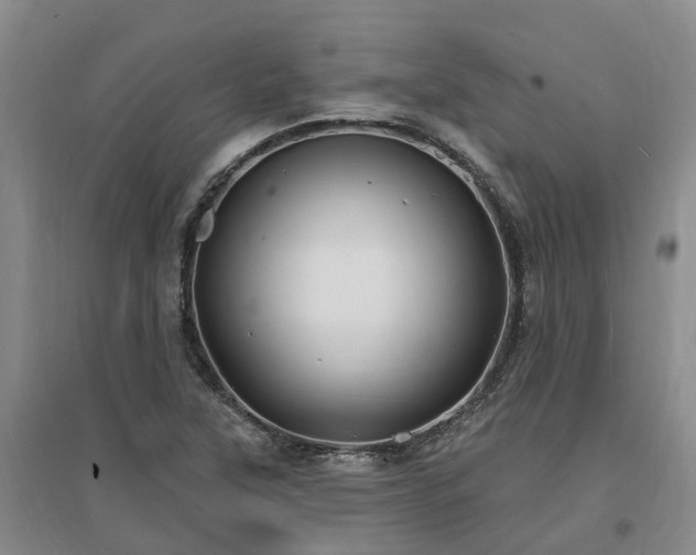 X0000096991315200802151344