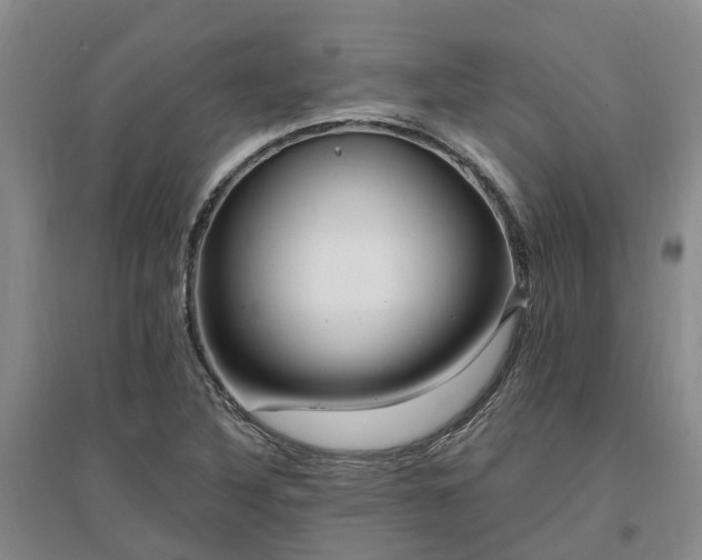 X0000096991316200802151344