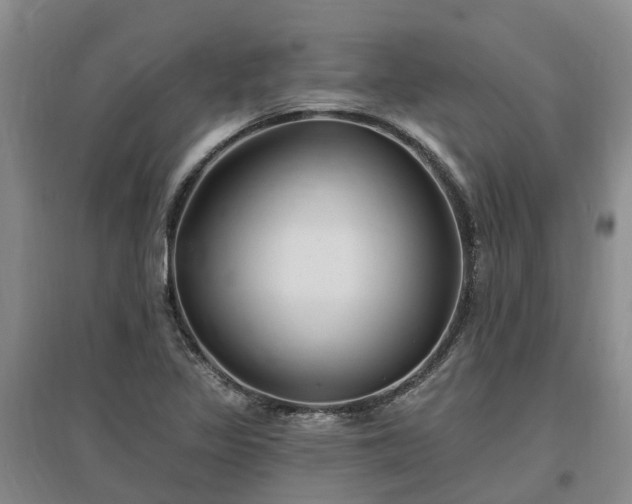 X0000096991317200802151344