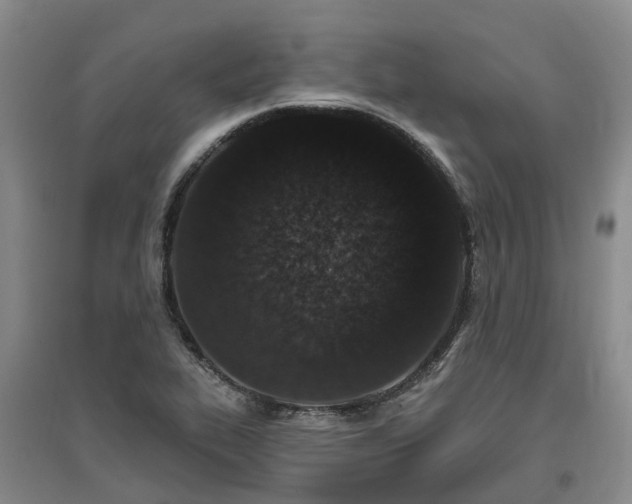 X0000096991319200802151344