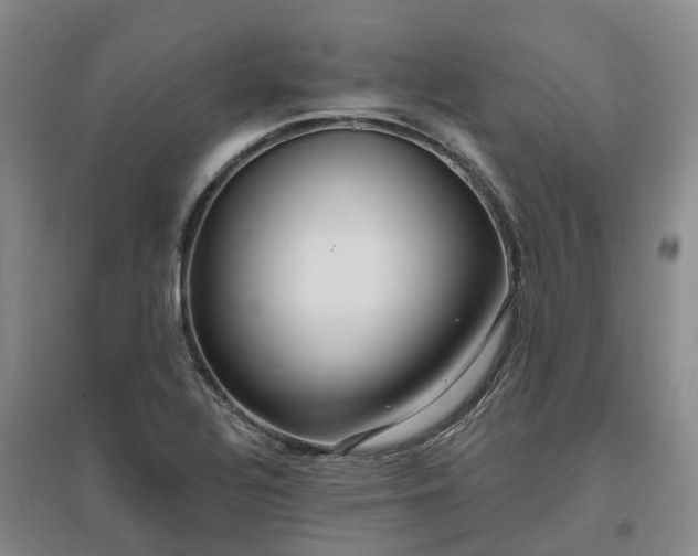 X0000096991320200802151344