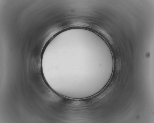 X0000096991322200802151344