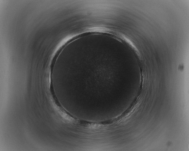 X0000096991323200802151344