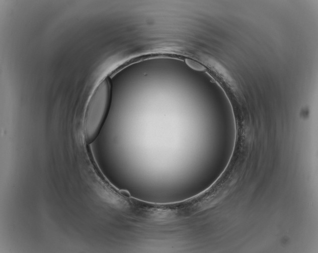 X0000096991324200802151344