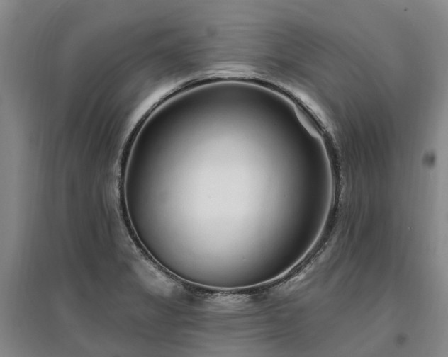 X0000096991325200802151344