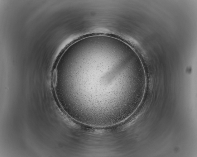 X0000096991326200802151344