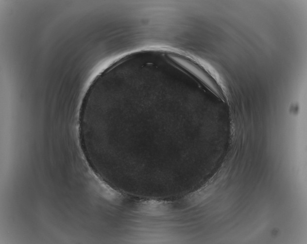 X0000096991327200802151344