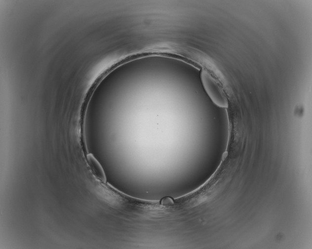 X0000096991328200802151344