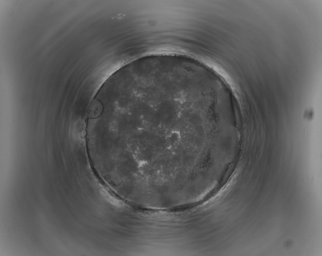 X0000096991329200802151344