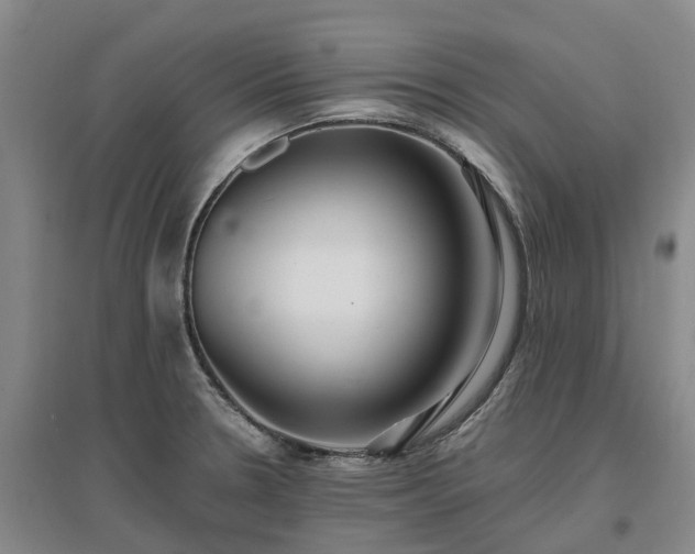 X0000096991330200802151344