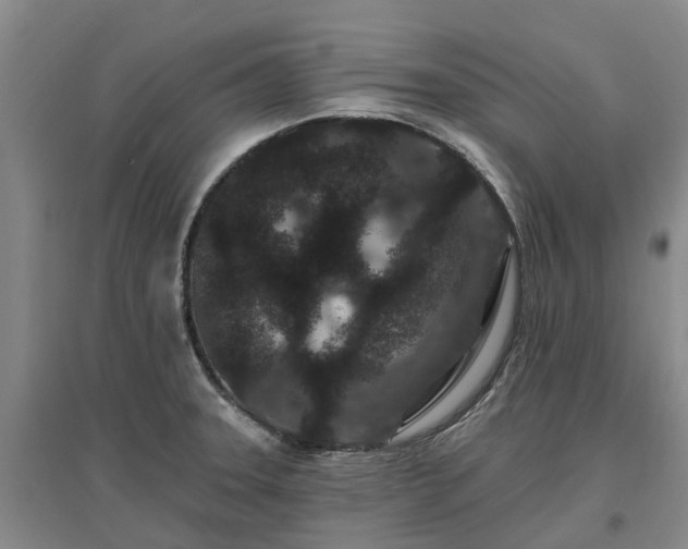 X0000096991331200802151344