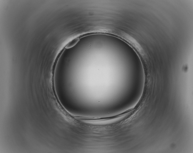 X0000096991332200802151344