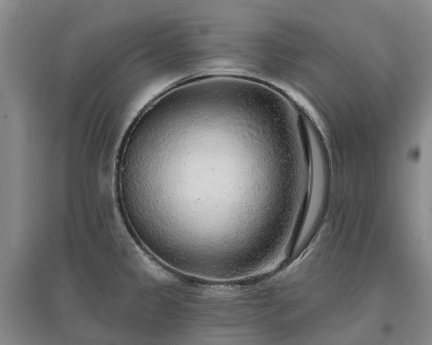 X0000096991333200802151344