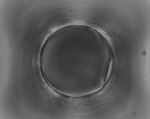 X0000096991334200802151344